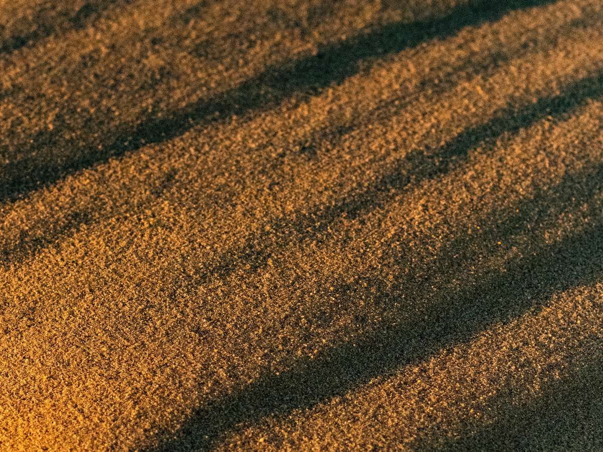 Nebulaworks Insight Content Card Background - Mehdi benkaci sand