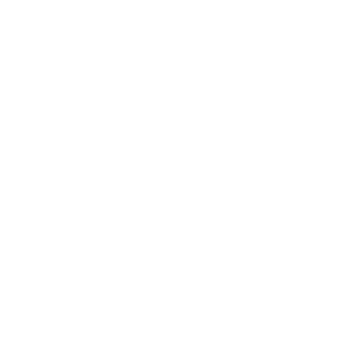 Vault icon.png